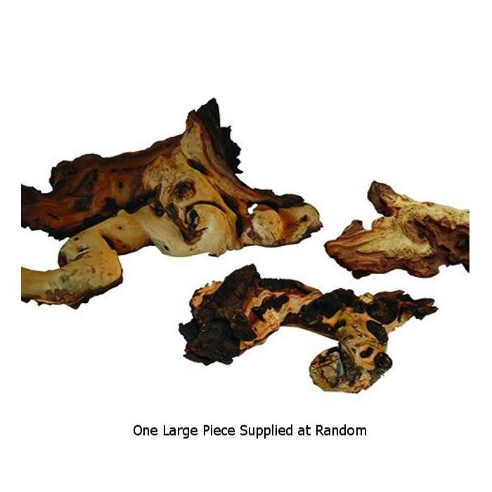 Large Mopani Wood