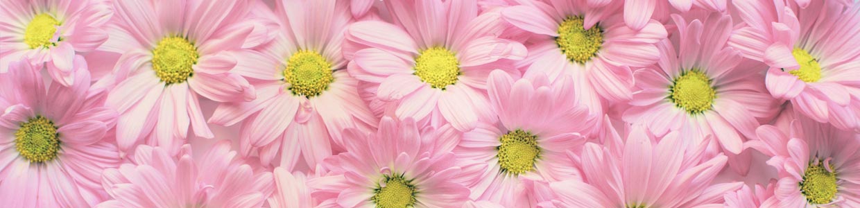 Mothers Day at Highway