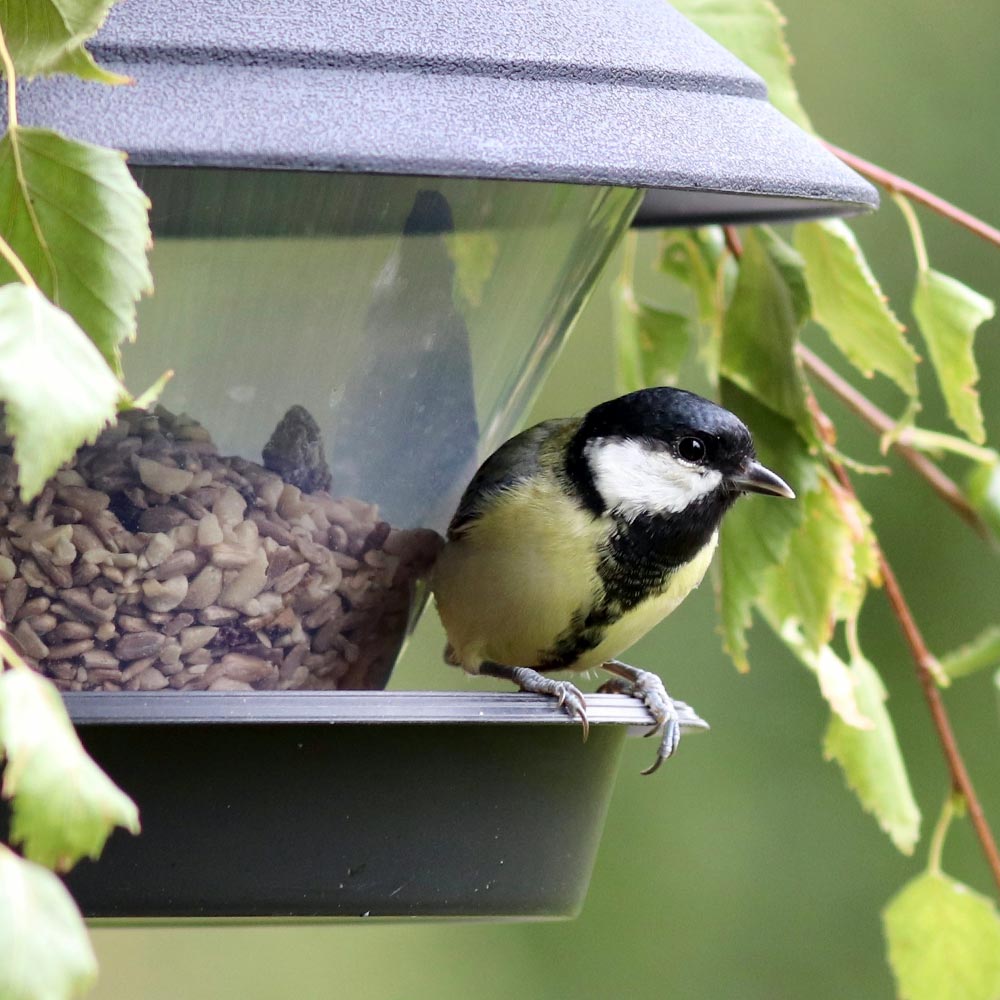 Essential gardening & bird care at Highway