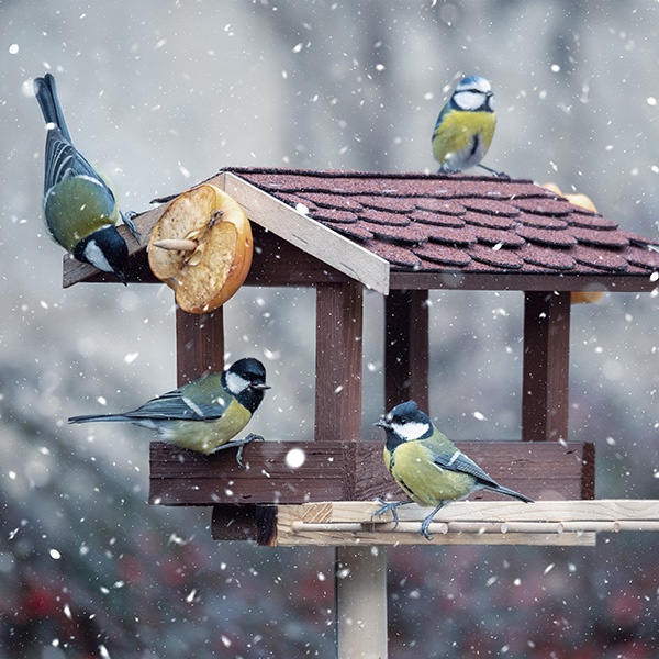 Gardening essentials at Highway